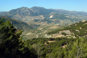 Valle del Río Guadalbullón